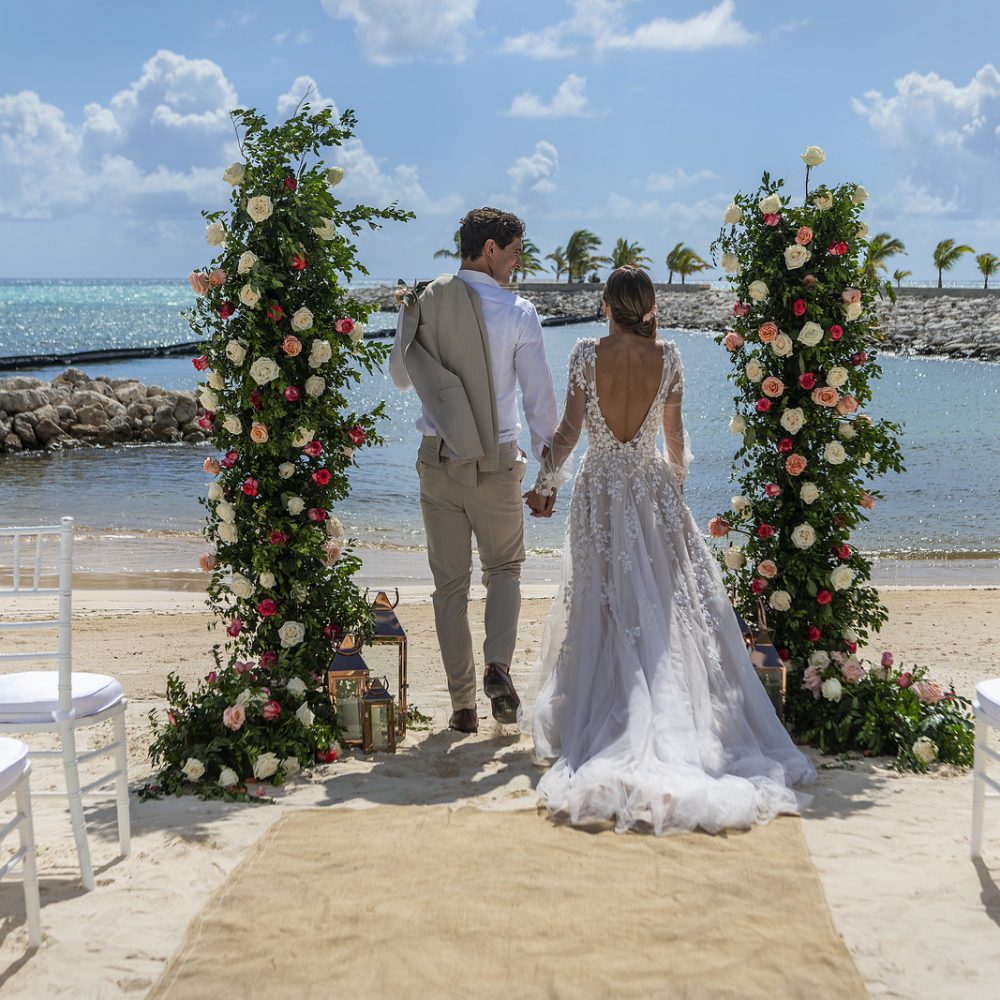 GARDEN BLOOMS CANA1-i-4BzXVZH-X3