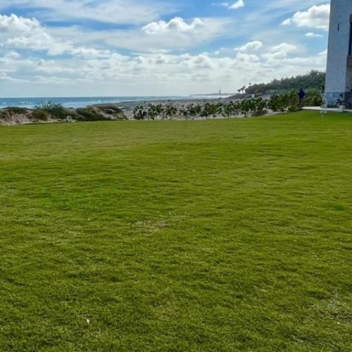 beach lawn